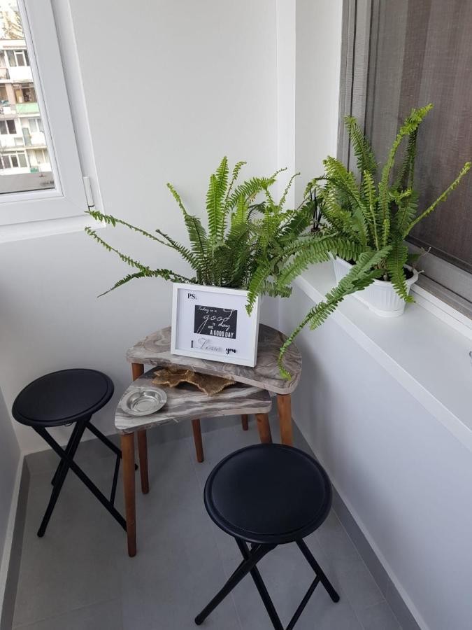 Ana Apartament Râmnicu Vâlcea Εξωτερικό φωτογραφία