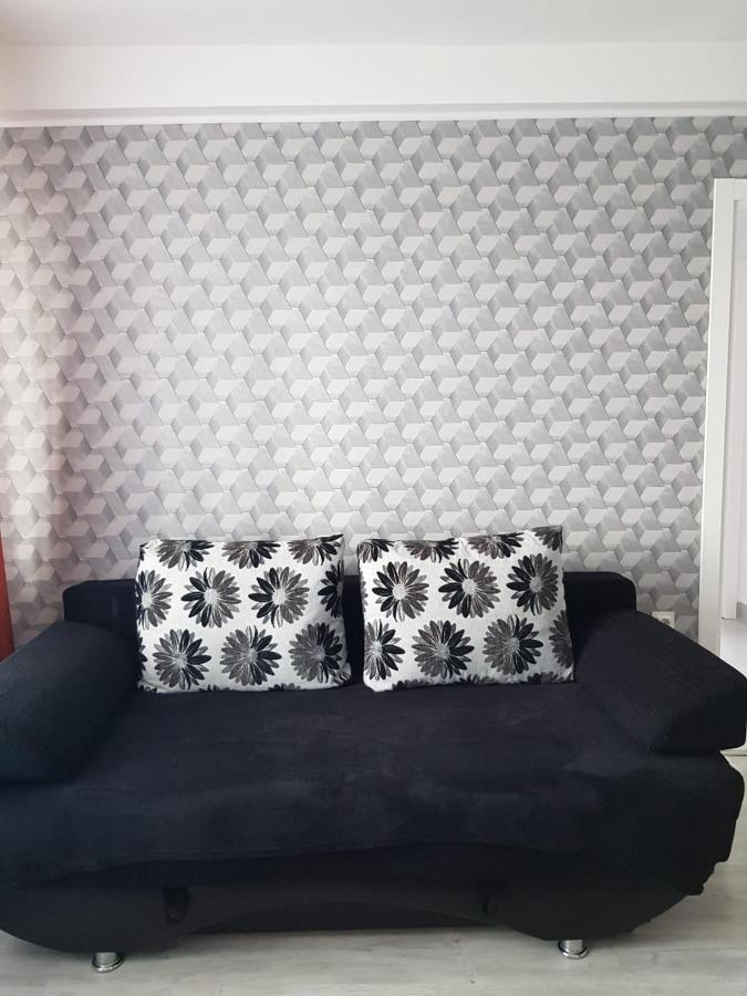 Ana Apartament Râmnicu Vâlcea Εξωτερικό φωτογραφία