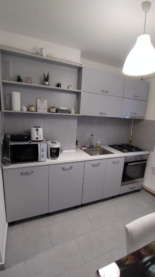 Ana Apartament Râmnicu Vâlcea Εξωτερικό φωτογραφία