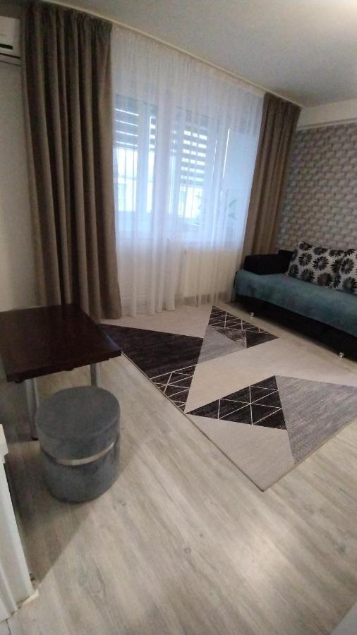 Ana Apartament Râmnicu Vâlcea Εξωτερικό φωτογραφία